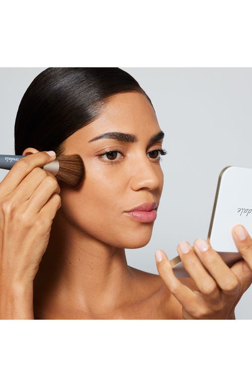 Jane Iredale The Handi Brush In No Color