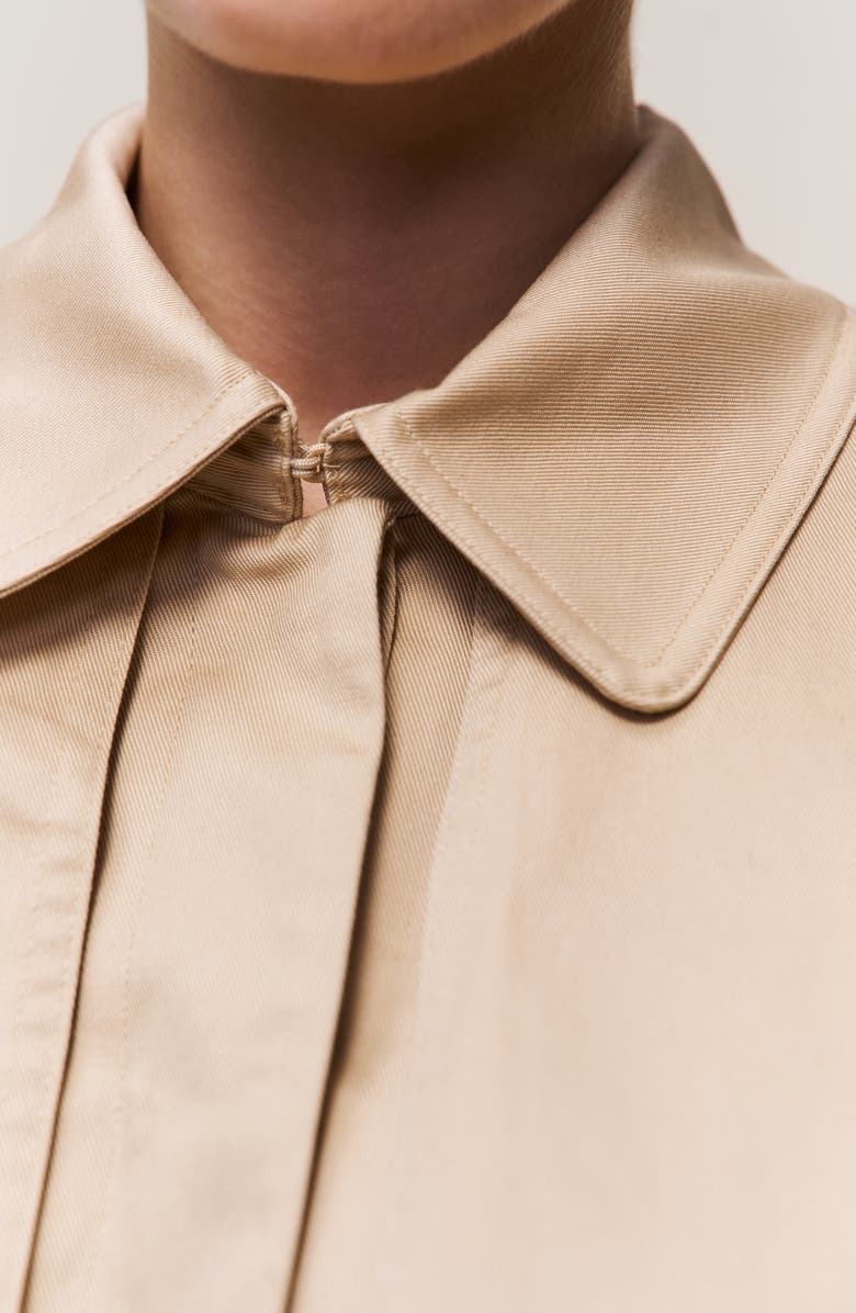 Guizio Thea Trench Coat, Alternate, color, Soft Taupe