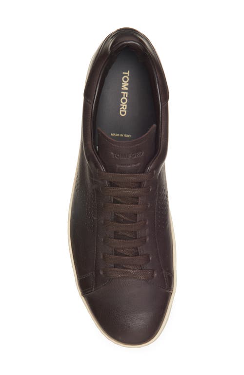 Tom Ford Warwick Sneaker In Brown