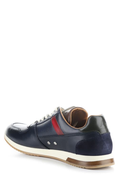 Ambitious 11240 Perforated Sneaker In Multi