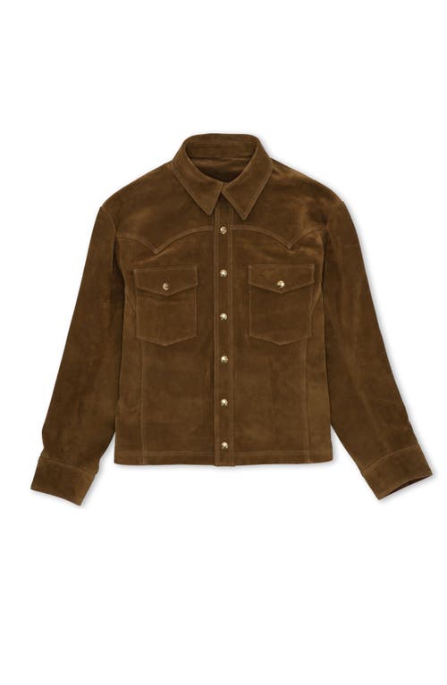 Fortela Buzz Suede Leather Jacket In Brown