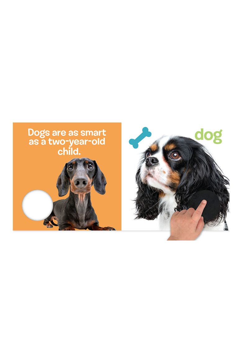 Touch and Feel Pet Animals, Alternate, color, MULTI