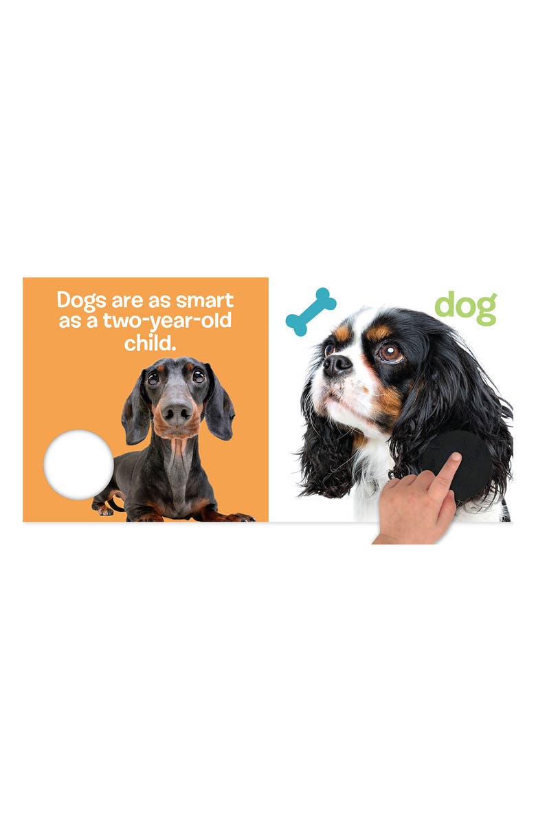 LITTLE HIPPO BOOKS Touch and Feel Pet Animals, Alternate, color, 