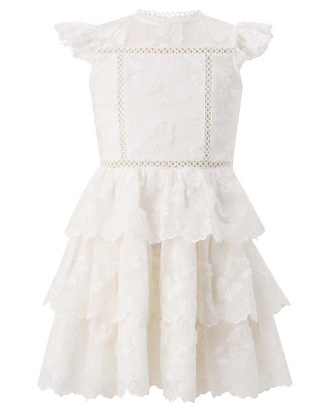 Alisha Frill Embroidered Mini Dress