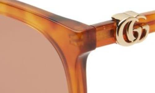Gucci 55mm Cat Eye Sunglasses In Havana Havana Brown