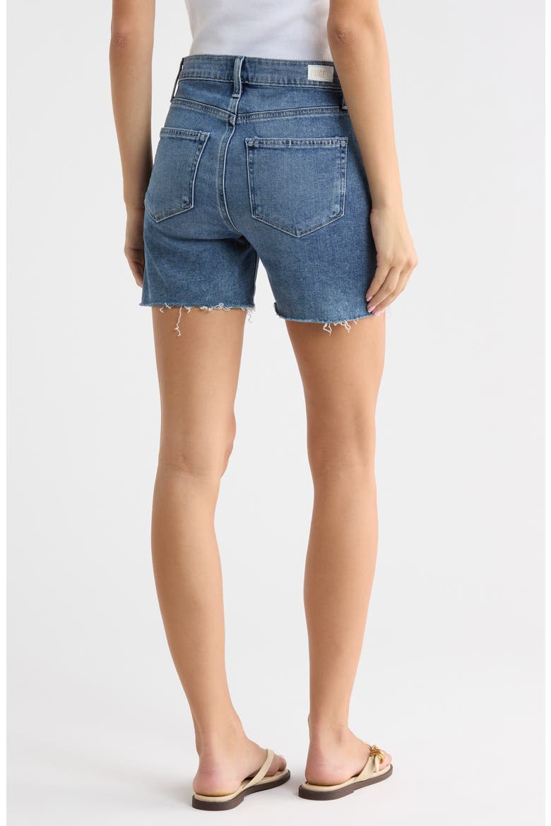 Sarah High Waist Raw Hem Longline Shorts, Alternate, color, FER DESTRUCTED