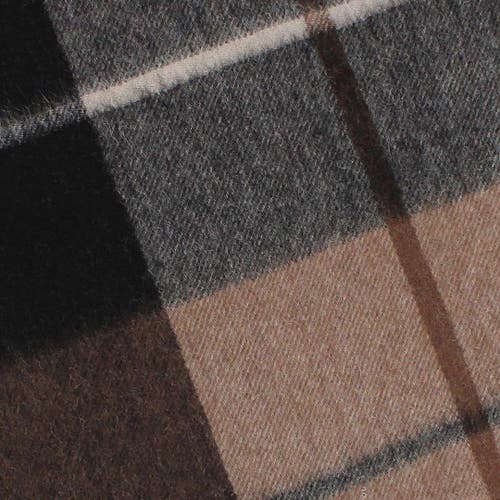 Trafalgar Camden Cashmere Soft And Cozy Neck Scarf In Multi