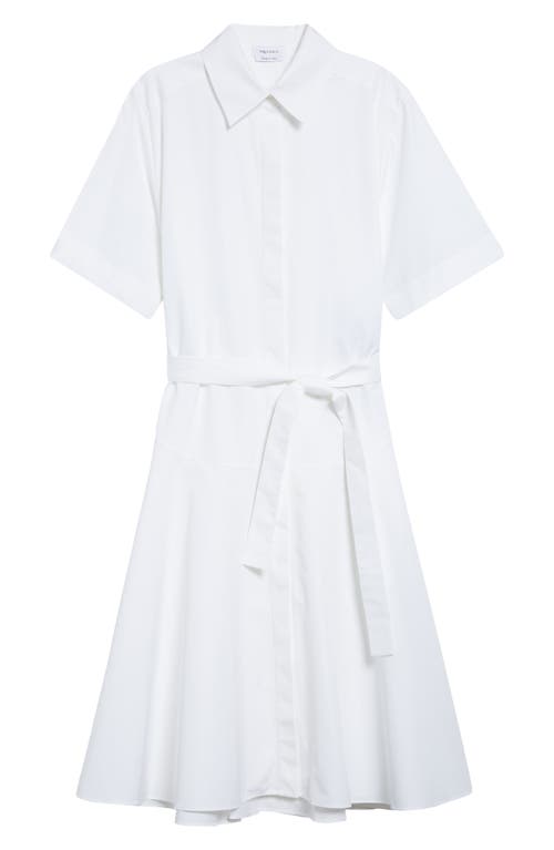 Alexander Mcqueen Mcqueen Belted Cotton Poplin Shirtdress In White