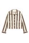 selected Dark Brown Stripe