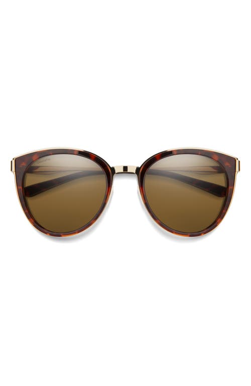 Smith Somerset 53mm Chromapop™ Polarized Round Sunglasses In Brown