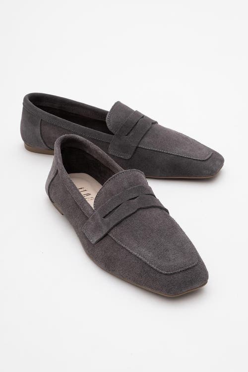 Forever & Always Shoes Morne Leather Loafers In Grey Suede Leather