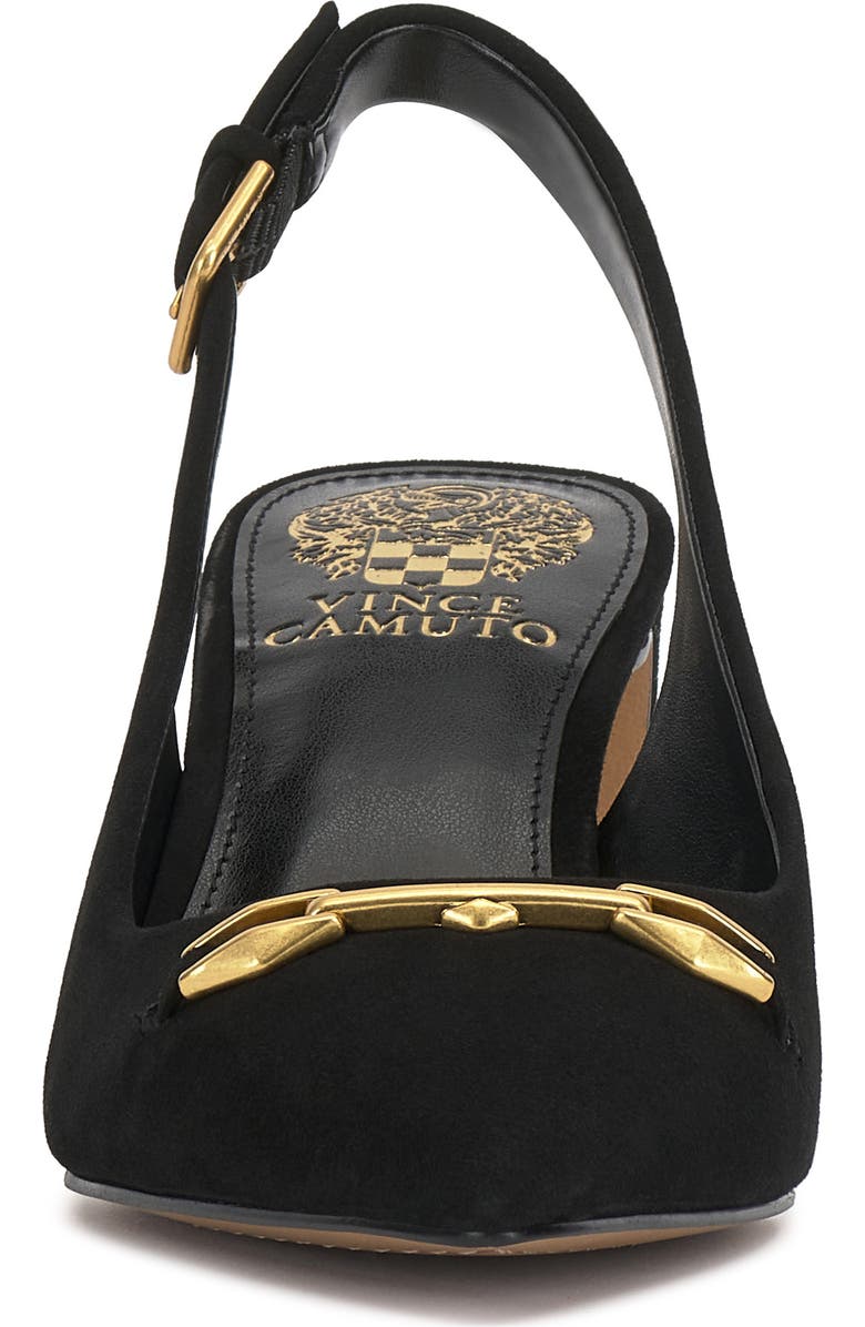 Vince Camuto Hamden Pointed Toe Slingback Pump, Alternate, color, Black