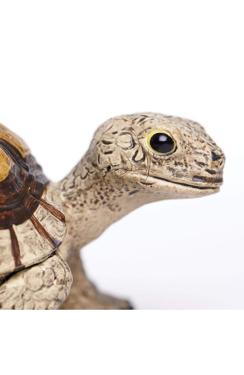 Safari Ltd. Tortoise Toy, Alternate, color, NO COLOR