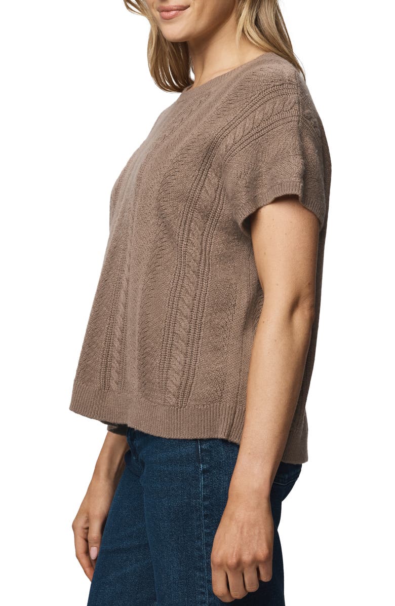 Splendid Raelynn Short Sleeve Pointelle Sweater, Alternate, color, Cedar Brown