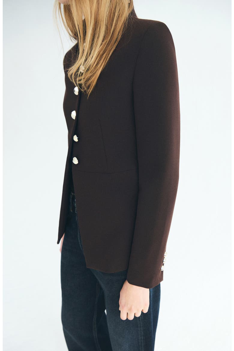 Button Front Jacket, Alternate, color, BROWN