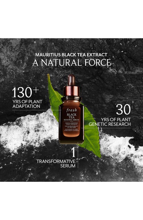 Fresh ® Black Tea Renewal Serum In Transparent