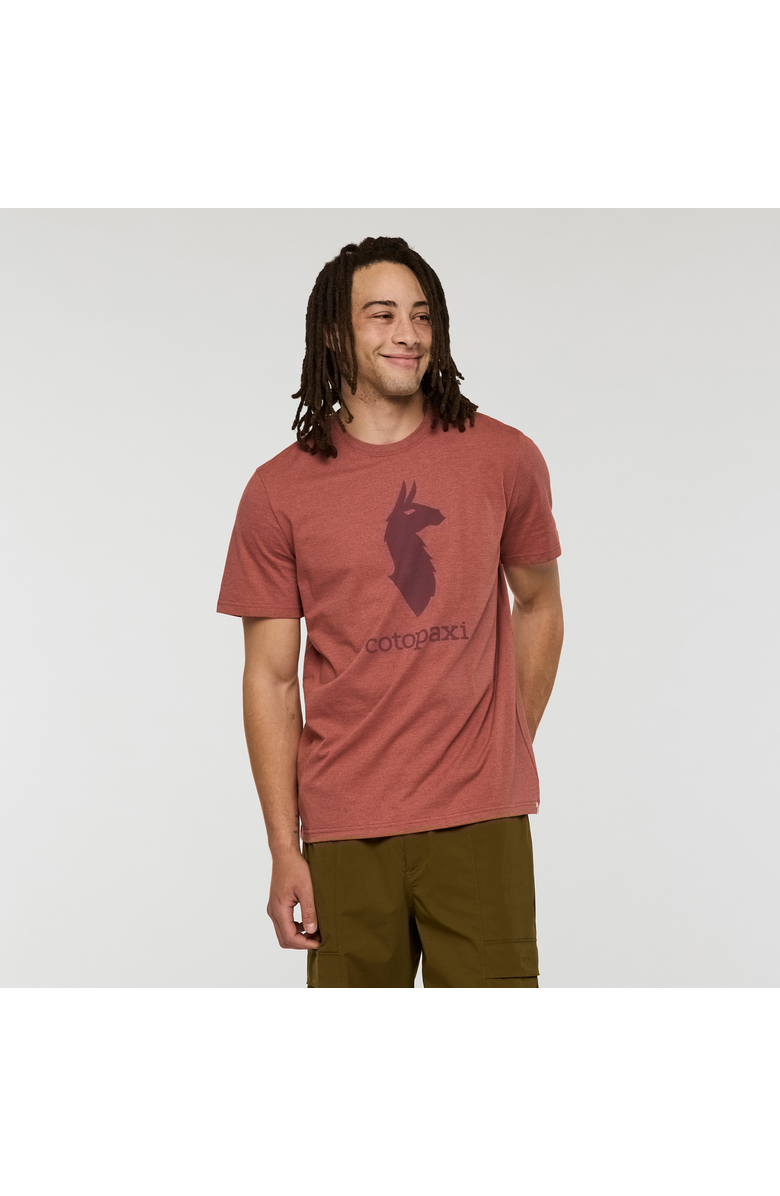 Cotopaxi Llama T-Shirt - Men's, Main, color, Nutmeg
