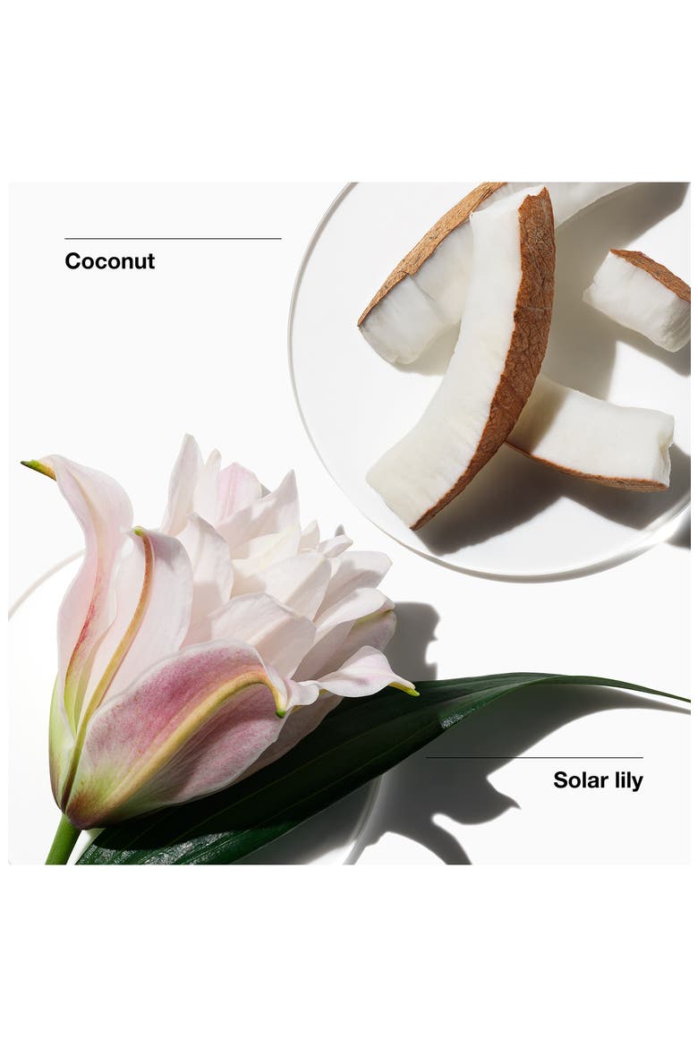 My Happy Lily of the Beach Fragrance, Alternate, color, NO COLOR