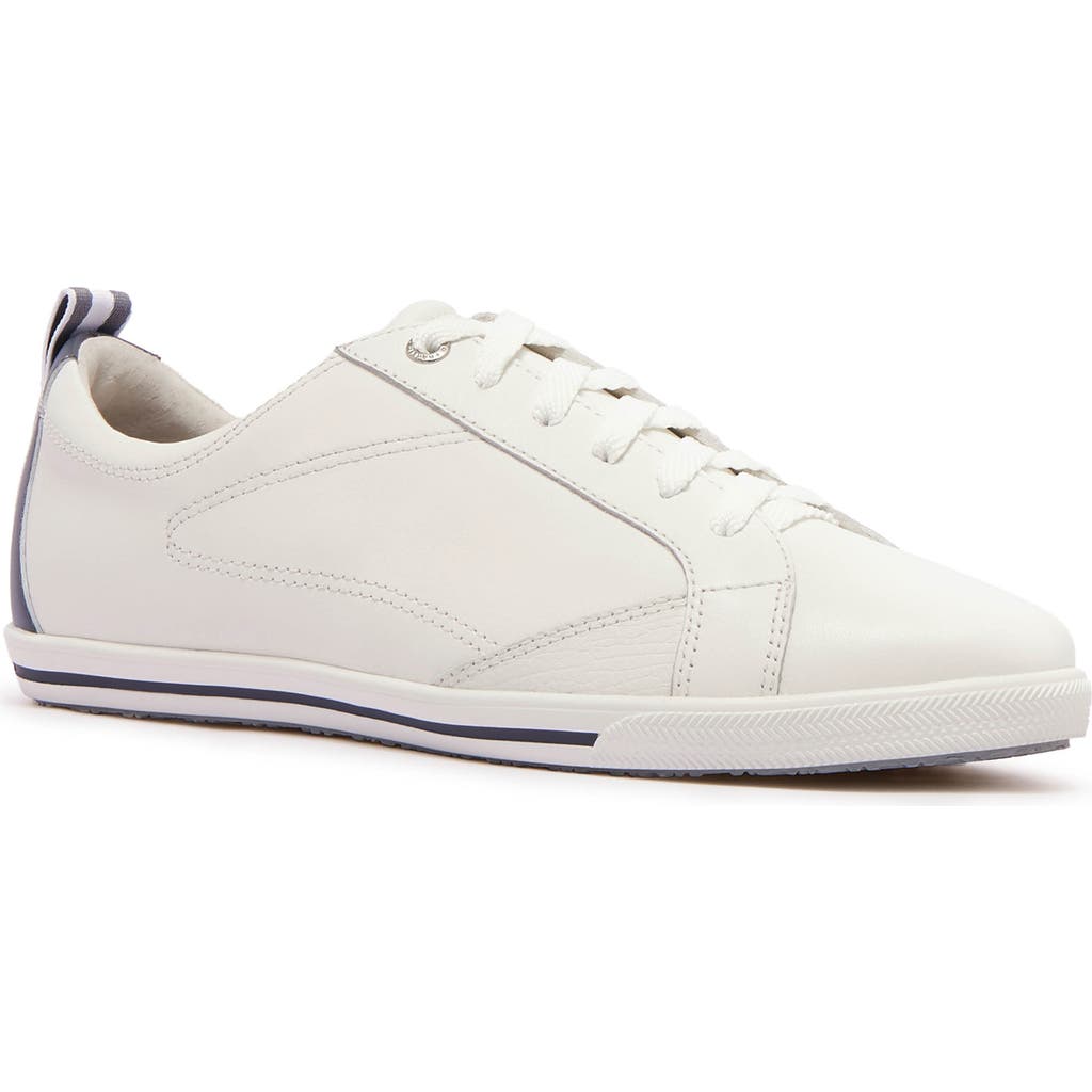 Frankie4 Asher Sneaker