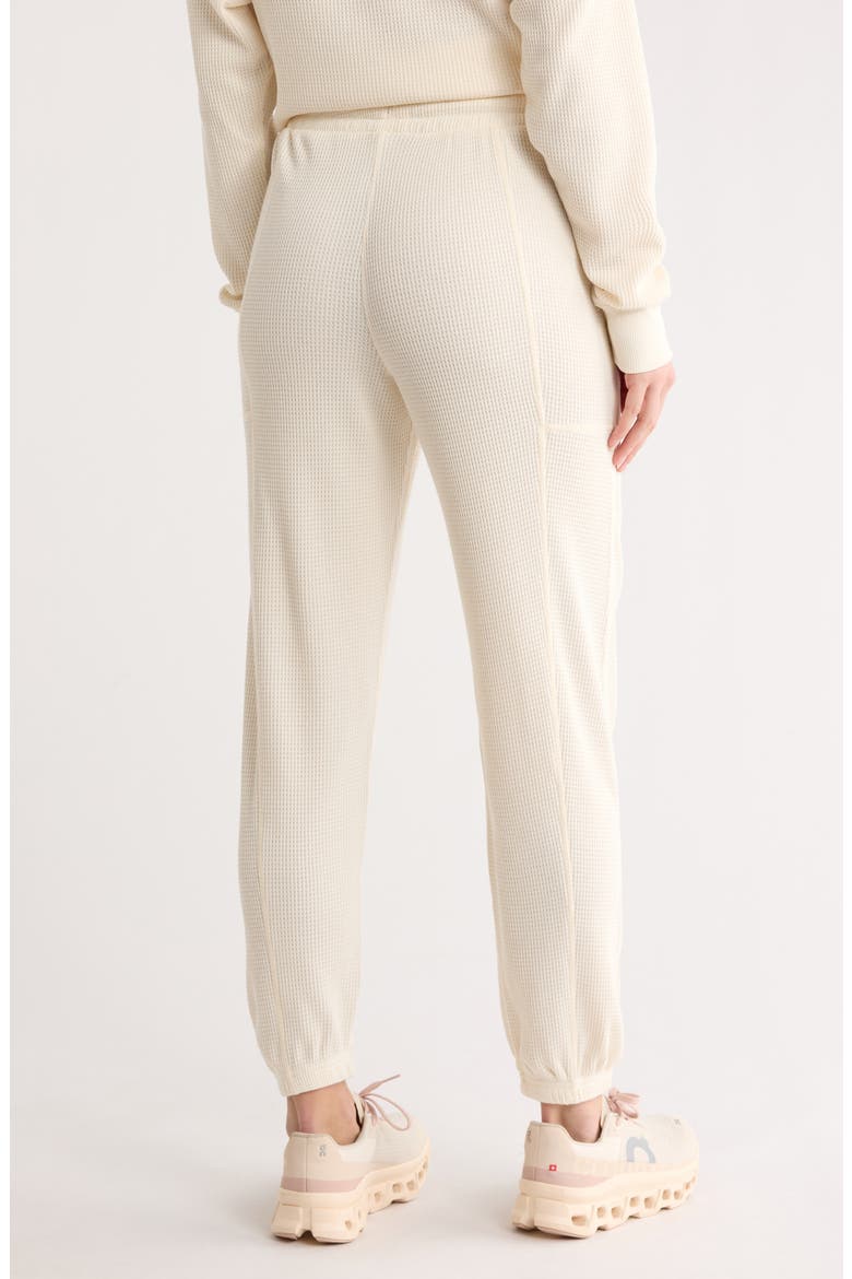 Brushed Waffle Knit Joggers, Alternate, color, WHITE DOVE
