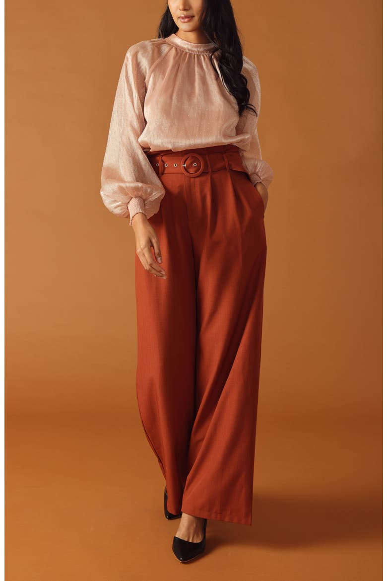 Embellished Long Sleeve Top, Alternate, color, ROSE
