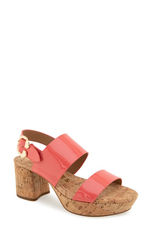 AEROSOLES AEROSOLES CAMERA PLATFORM SANDAL