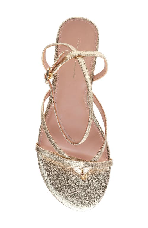 Linea Paolo Luz Ankle Strap Sandal In Gold
