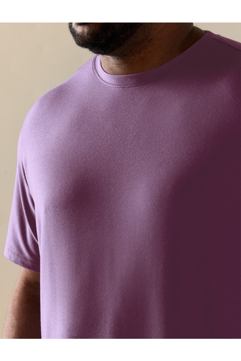 Big & Tall Luxury T-Shirt, Alternate, color, BOYSENBERRY PD