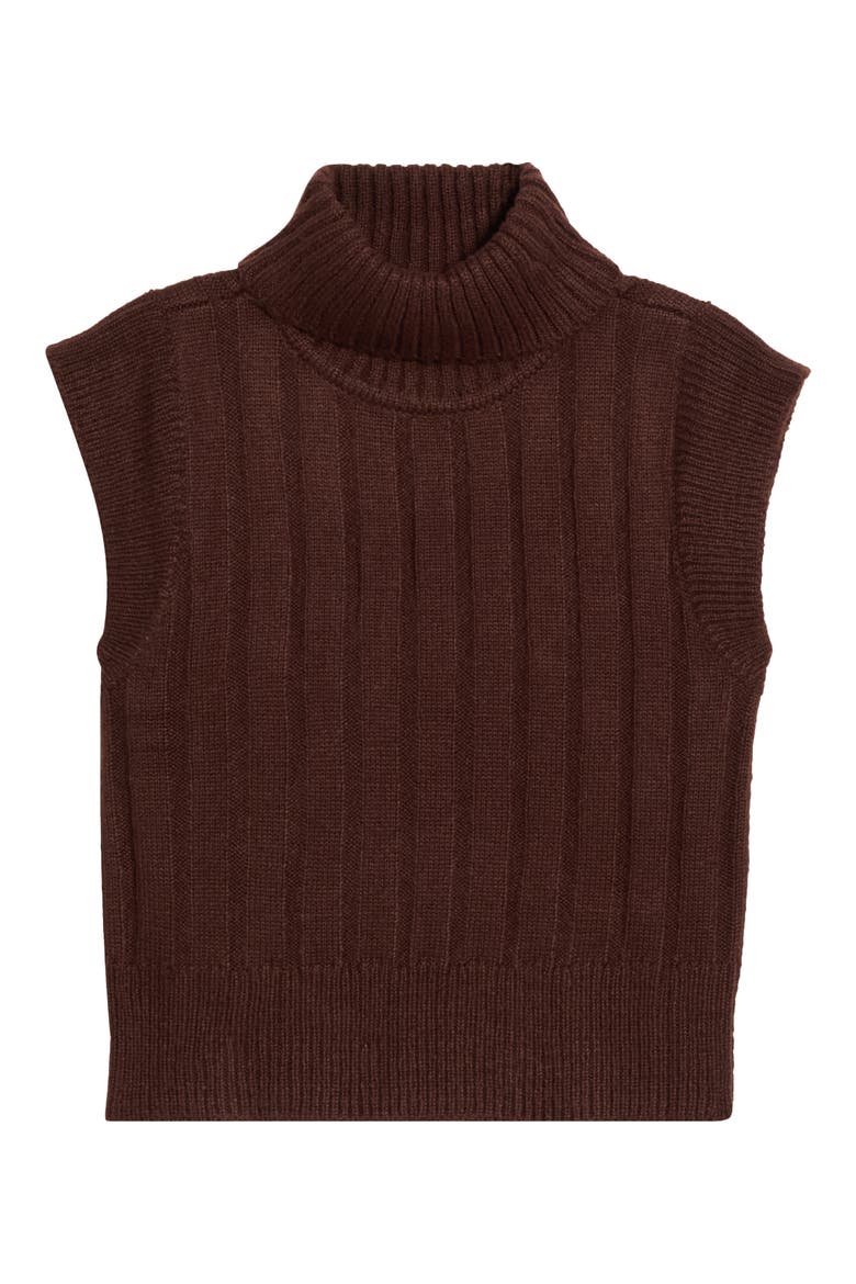 Anaya Ribbed Turtleneck Sweater, Alternate, color, CHOCOLATE