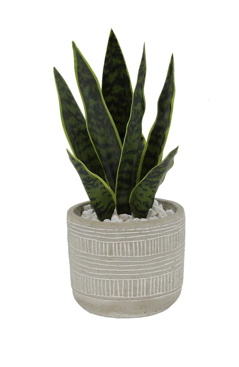 FLORA BUNDA Grey Faux Snake Plant Cement Planter, Alternate, color,