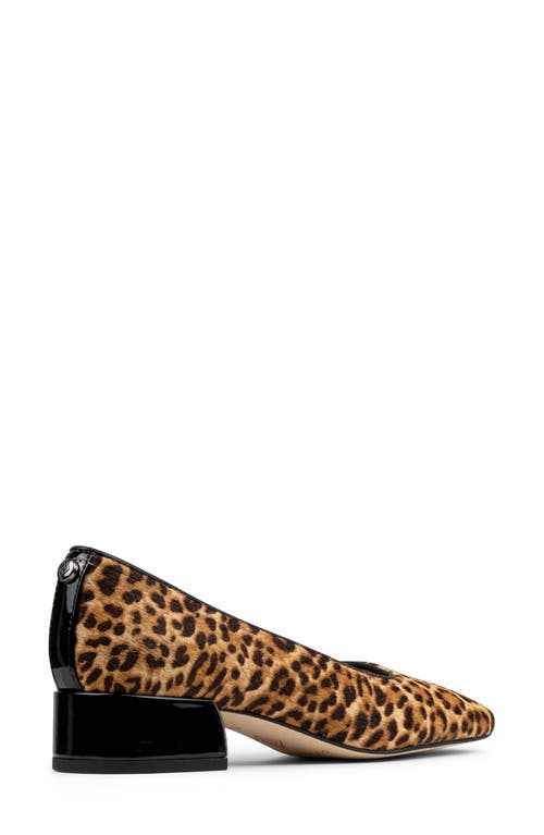 Donald Pliner Women Dreww Black Natural Leopard Dress In Multi