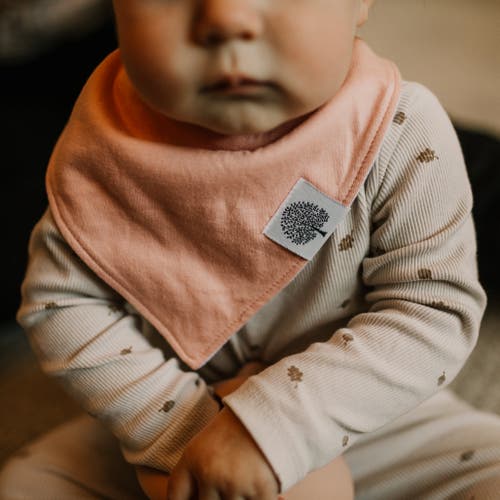 Parker Baby Co. Bandana Bib Set In Vail