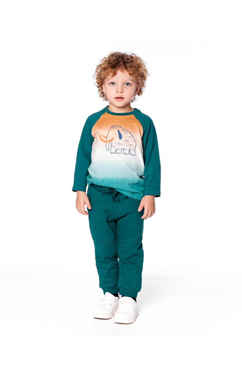 Deux par Deux Organic Cotton Jersey Raglan Sleeve T-Shirt, Main, color, Forest Green