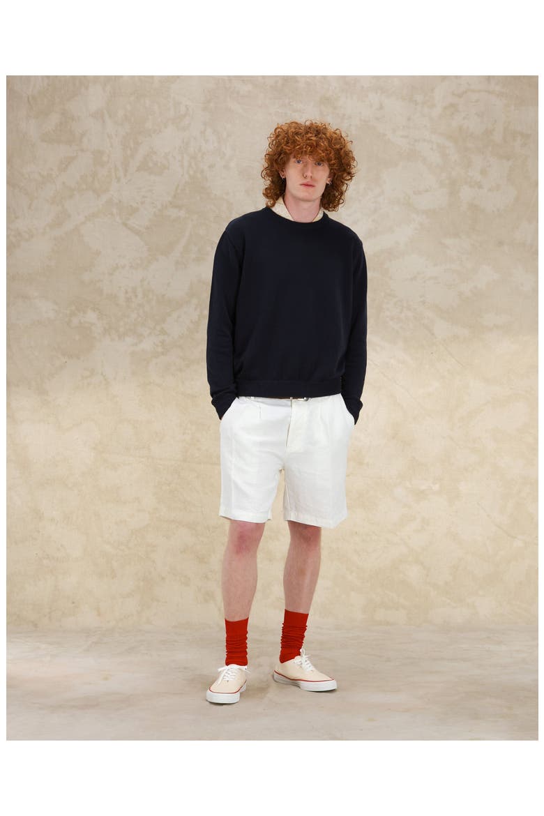 Rover Cotton Crewneck Sweater, Alternate, color, BLUE