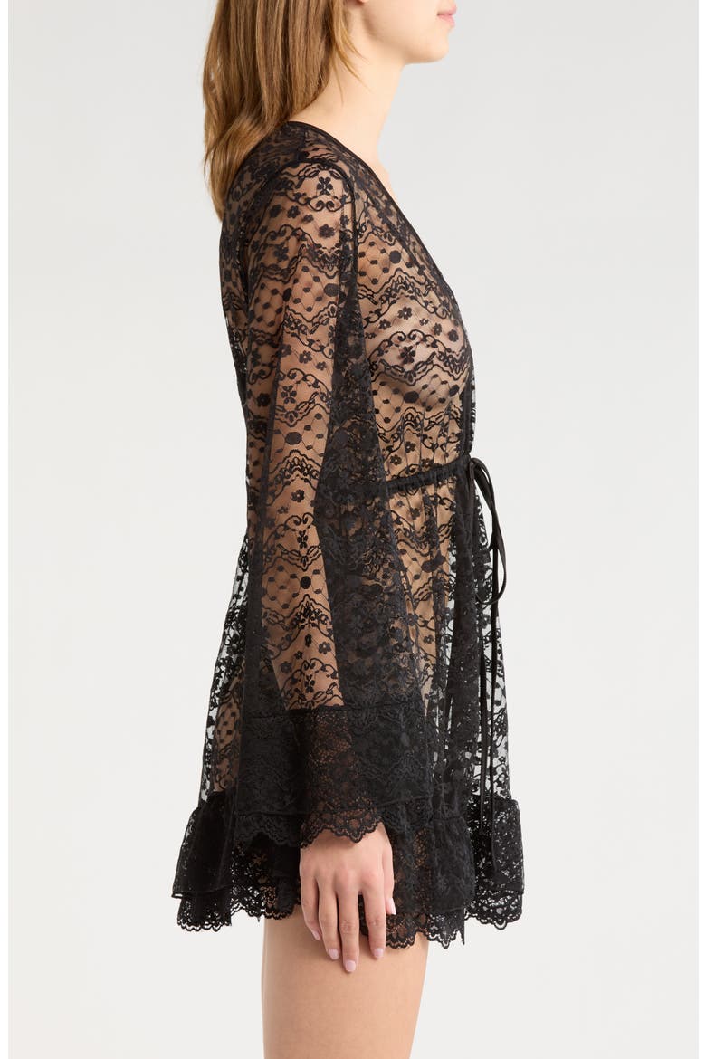 Embroidered Sheer Mesh Robe, Alternate, color, BLACK