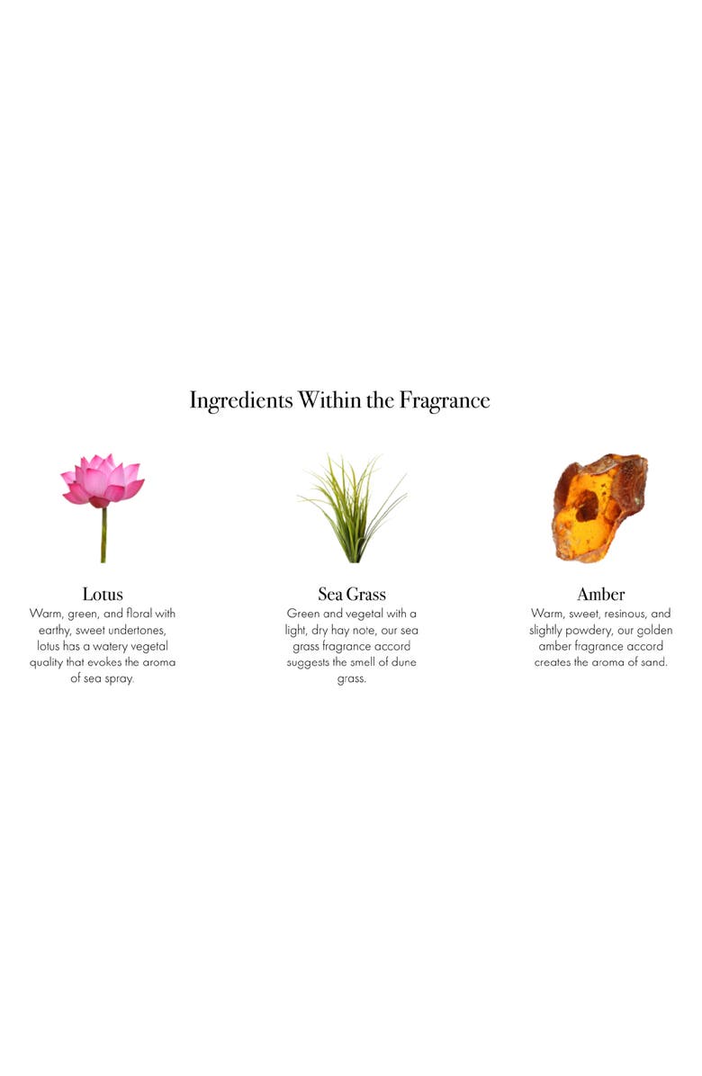 Lafco Sea & Dune Classic Candle, Alternate, color, Gray