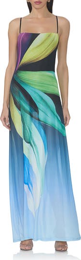 Shea Print A-Line Mesh Maxi Dress