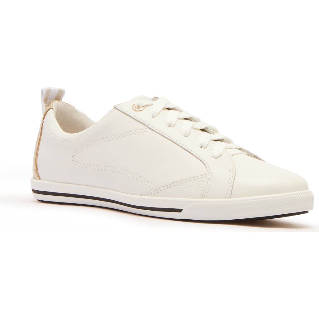 Frankie4 Asher Sneaker