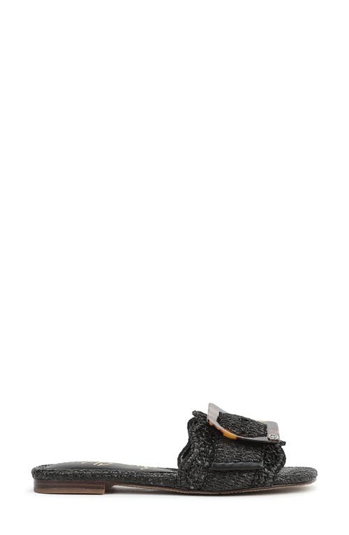 Sam Edelman Bambi Raffia Buckle Slide Sandal In Black