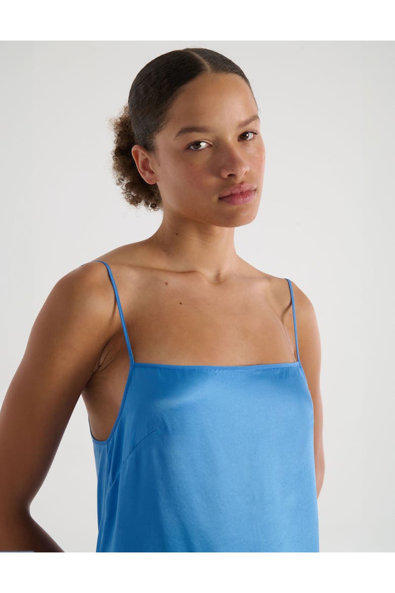 Toulouse Slip, Alternate, color, Bluet