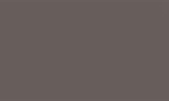 selected DARK BROWN