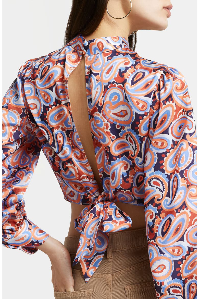 Tie Back Long Sleeve Crop Top, Alternate, color, ORANGE