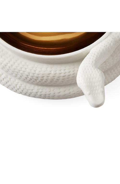 Jonathan Adler Eden Accent Decorative Bowl In Multi
