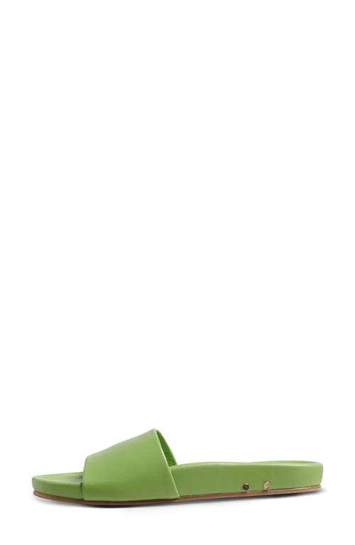 Beek Gallito Slide Sandal In Green