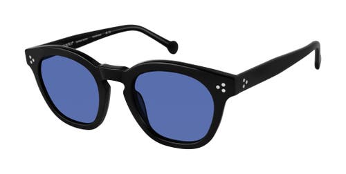 Colors In Optics Sullivan Sunglasses In Black