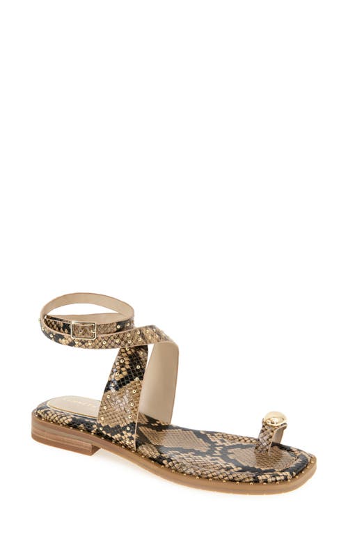 Kenneth Cole Ravenn Studded Wraparound Ankle Strap Sandal In Sand Snake