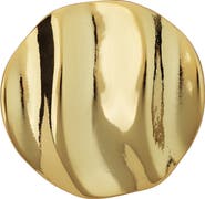 Panacea Wave Circle Brooch