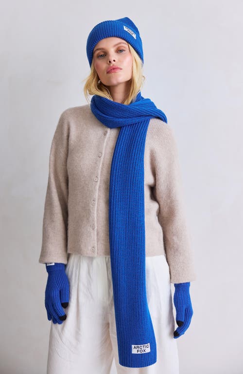 Arctic Fox & Co. Arctic Fox & Co The Recycled Bottle Gloves In Blue