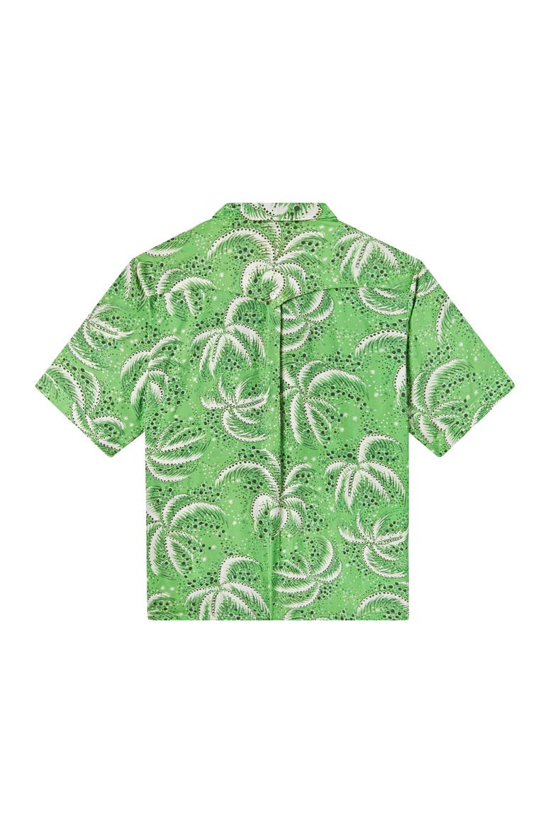 Palm Fronds, Alternate, color, Green