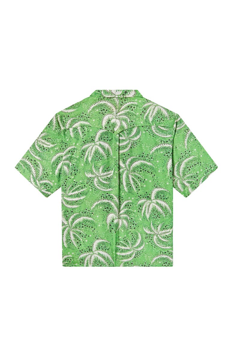 Tombolo Palm Fronds, Alternate, color, Green